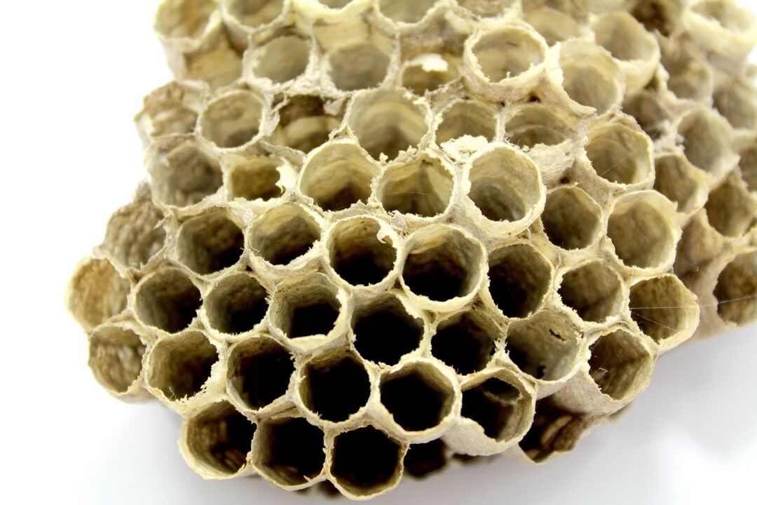 propolis honey for male power
